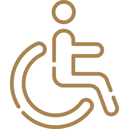 Accesso Disabili